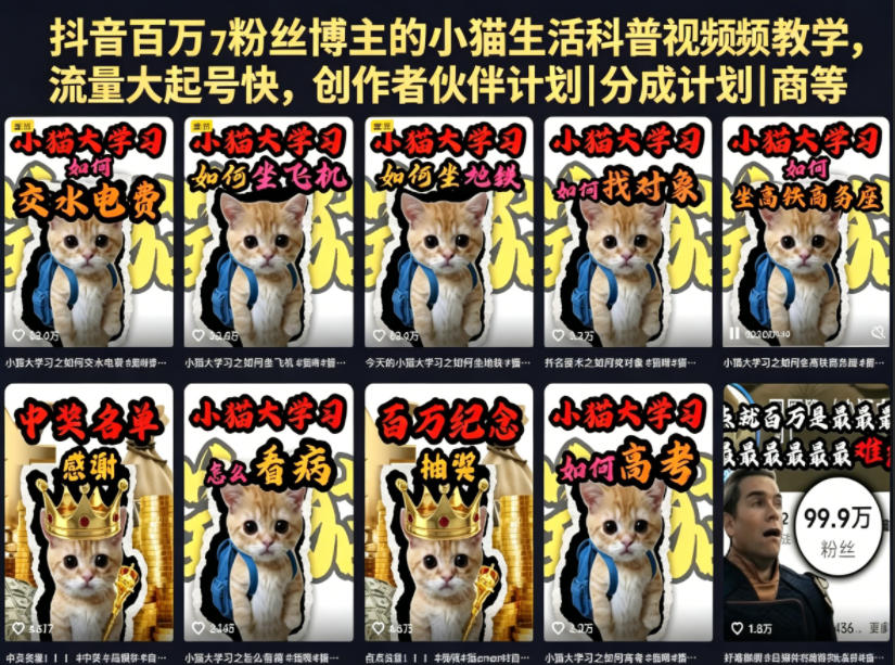 抖音百万粉丝博主的小猫生活科普视频教学,流量大起号快,创作者伙伴计划|分成计划|商单|收徒等-百盟网