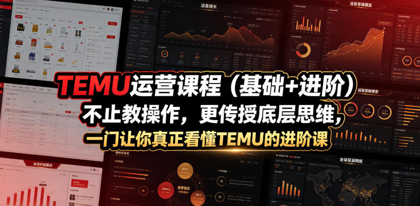 TEMU运营课程(基础+进阶)，不止教操作，更传授底层思维，一门让你真正看懂TEMU的进阶课-百盟网