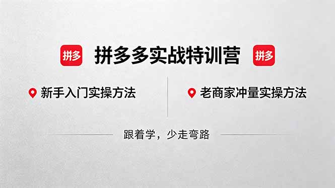 拼多多实战特训营(更新5月3-百盟网