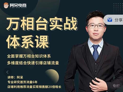 阿呆-万相台实战体系课,帮您全面掌握万相台知识体系-百盟网