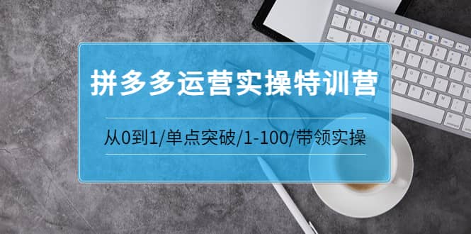 拼多多运营实操特训营:从0到1/单点突破/1-100/带领实操 价值2980元-百盟网