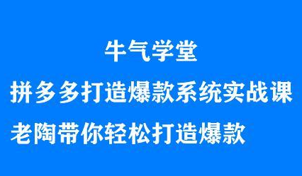 牛气学堂拼多多打造爆款系统实战课,老陶带你轻松打造爆款-百盟网