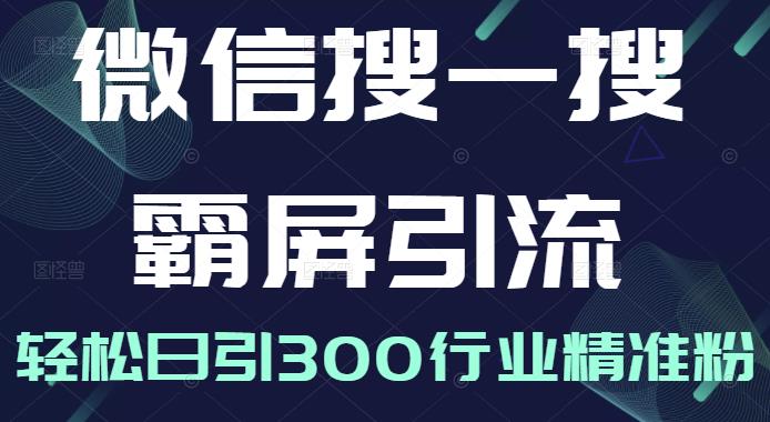 微信搜一搜霸屏引流课,打造被动精准引流系统,轻松日引300行业精准粉【无水印】-百盟网
