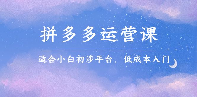 拼多多运营课,适合小白初涉平台,低成本入门-百盟网