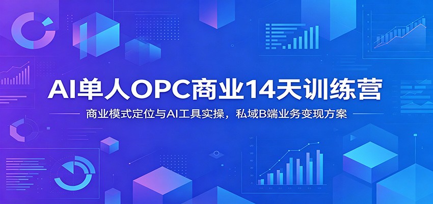 AI单人OPC商业14天训练营：商业模式定位与AI工具实操，私域B端业务变现方案-百盟网