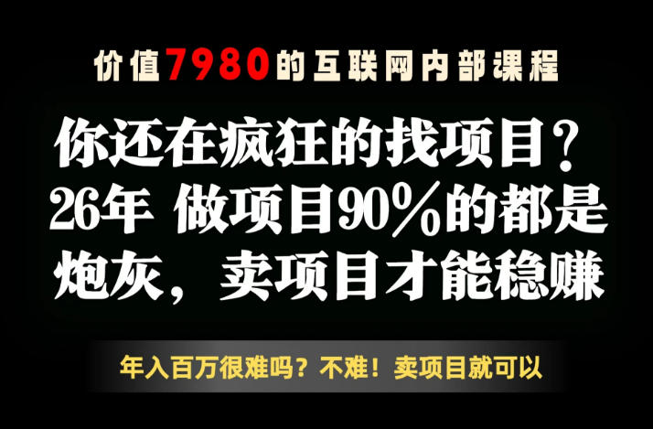 26年请不要疯狂的找项目了，卖项目远比你想象的暴利，你也可以月入10W+【揭秘】-百盟网