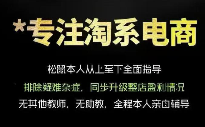 松鼠会电商VIP课程,从基础布局到高阶优化,助你掌握淘宝运营逻辑,提升店铺流量与转化