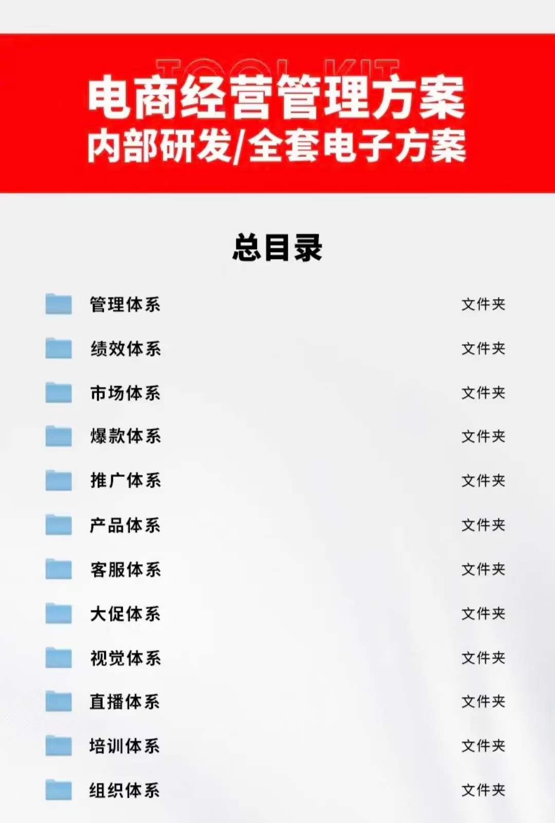 外面卖198·电商企业经营管理工具:全套执行落地方案 标准模块·直接套用-百盟网
