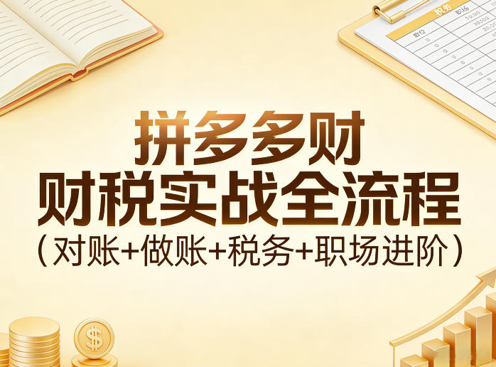 拼多多财税实战全流程(对账+做账+税务+职场进阶)-百盟网
