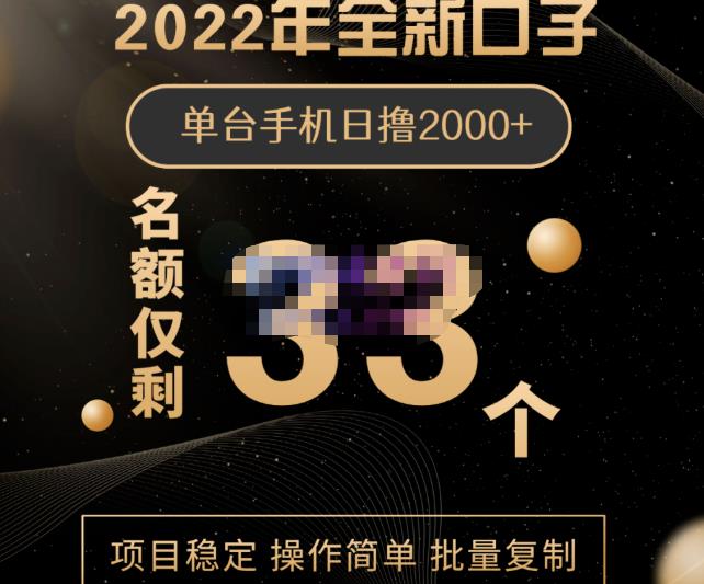 2022年全新口子,手机批量搬砖玩法,一部手机日撸2000+