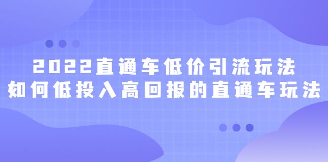 2022直通车低价引流玩法,教大家如何低投入高回报的直通车玩法-百盟网