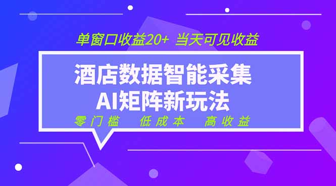 2026酒店数据采集ai智能矩阵新风口 低成本 高收益 当天见收益 单窗口20+-百盟网