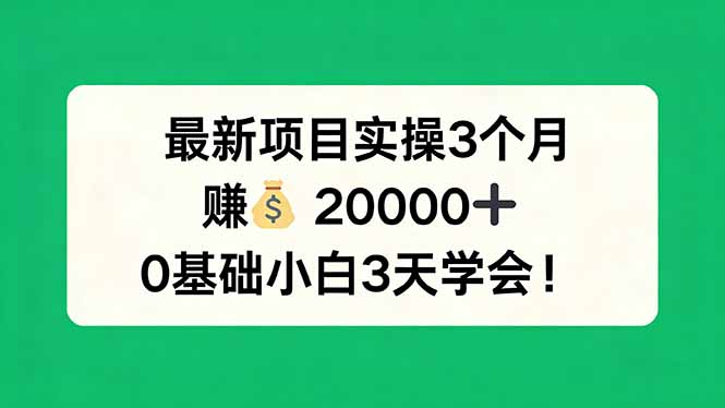最新项目实操3个月,赚钱20000+,0基础小白3天学会!-百盟网