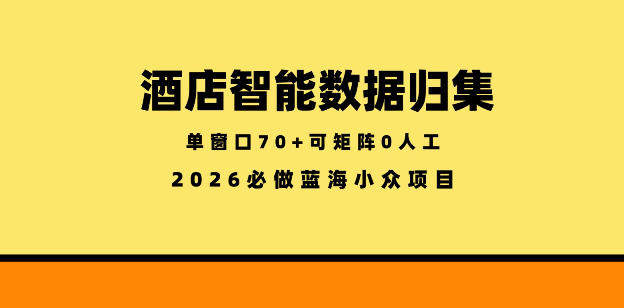 酒店智能数据归集,小众蓝海已经稳定半年之久,单窗口70+零成本矩阵开干【揭秘】-百盟网