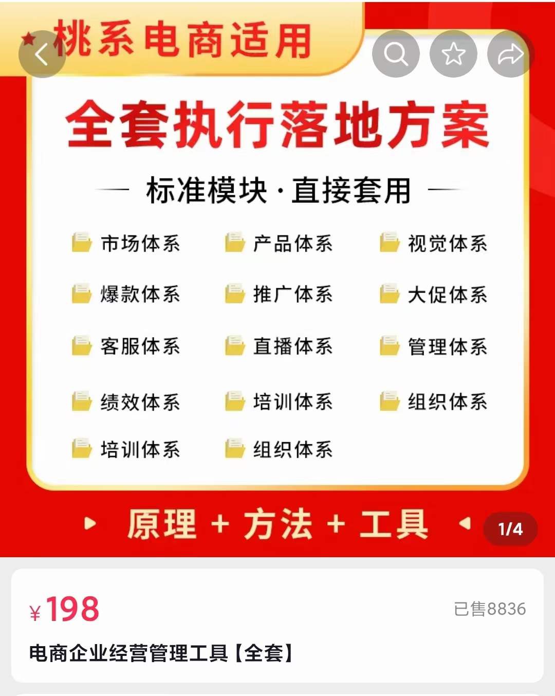图片[1]-外面卖198·电商企业经营管理工具：全套执行落地方案 标准模块·直接套用-百盟网