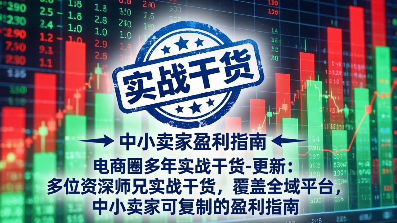 电商圈多年实战干货-更新2026：多位资深师兄实战干货/覆盖全域平台，中小卖家可复制的盈利指南-百盟网