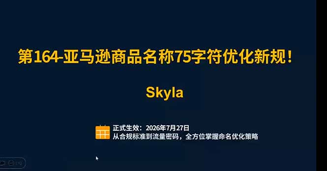 亚马逊跨境实战课:全品类选品逻辑|SP/SB/SD广告精细化|新品打爆旺季爆单全套运营教程-百盟网