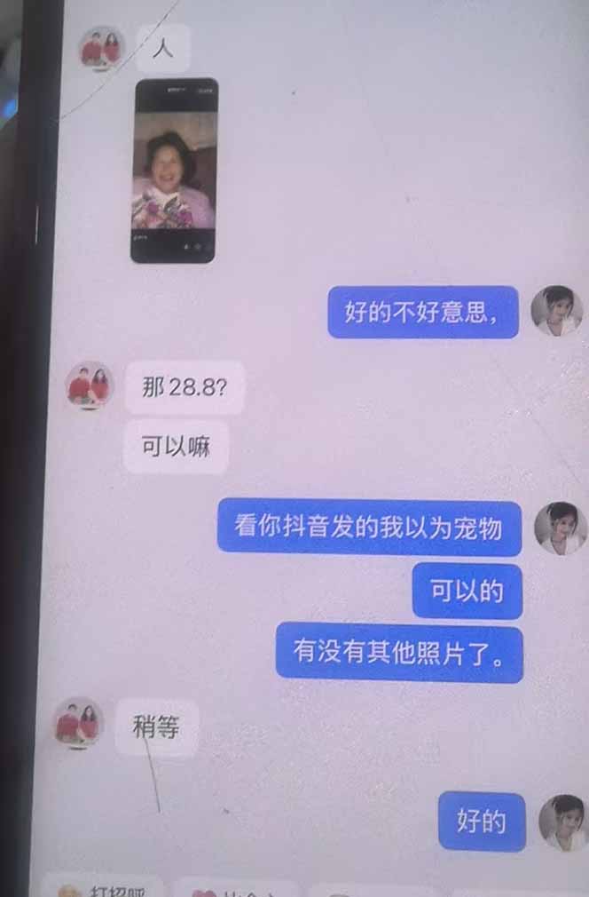 思念亲人AI视频教程:亲人复活+人物替换技术,条条几万赞爆款作品制作-百盟网