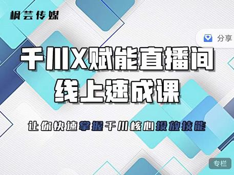 枫芸传媒-线上千川提升课,提升千川认知,提升千川投放效果-百盟网