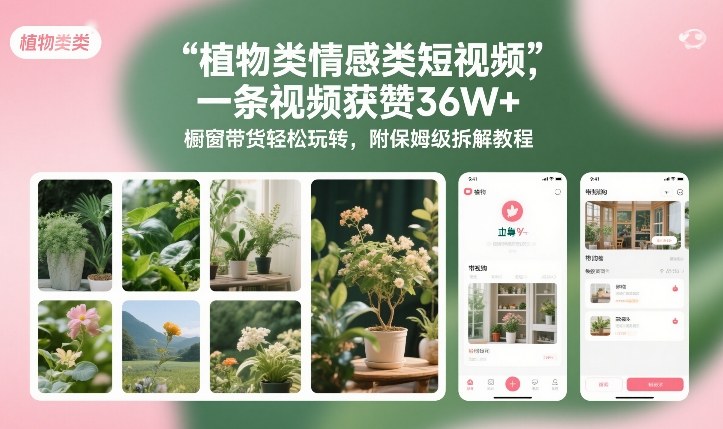 植物类情感类短视频,一条视频获赞36W+,橱窗带货轻松玩转,附保姆级拆解教程-百盟网