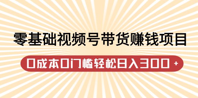 零基础视频号带货赚钱项目,0成本0门槛轻松日入300+【视频教程】-百盟网
