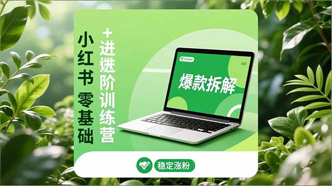 小红书零基础+高阶训练营:安全养号、爆款拆解、长效运营,实现稳定涨粉与变现-百盟网
